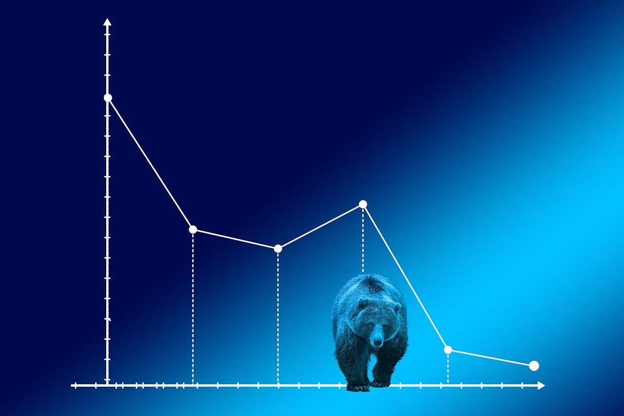 How to survive the current bear market